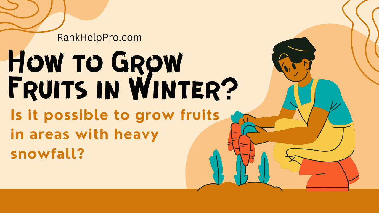 How to Grow Fruits in Winter? By RankHelpPro.com