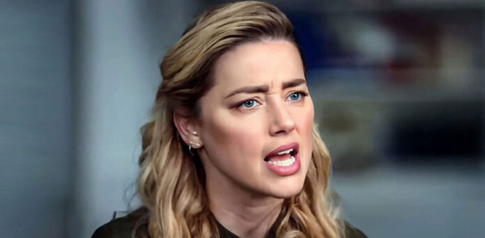 Amber Heard net worth